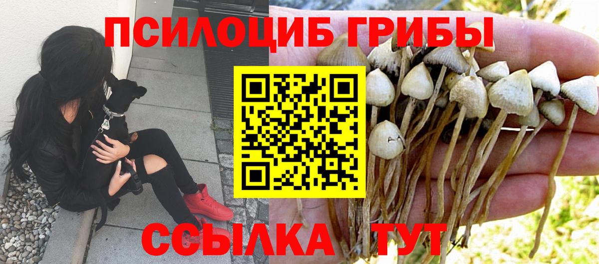 Псилоцибиновые грибы Psilocybine cubensis Сызрань